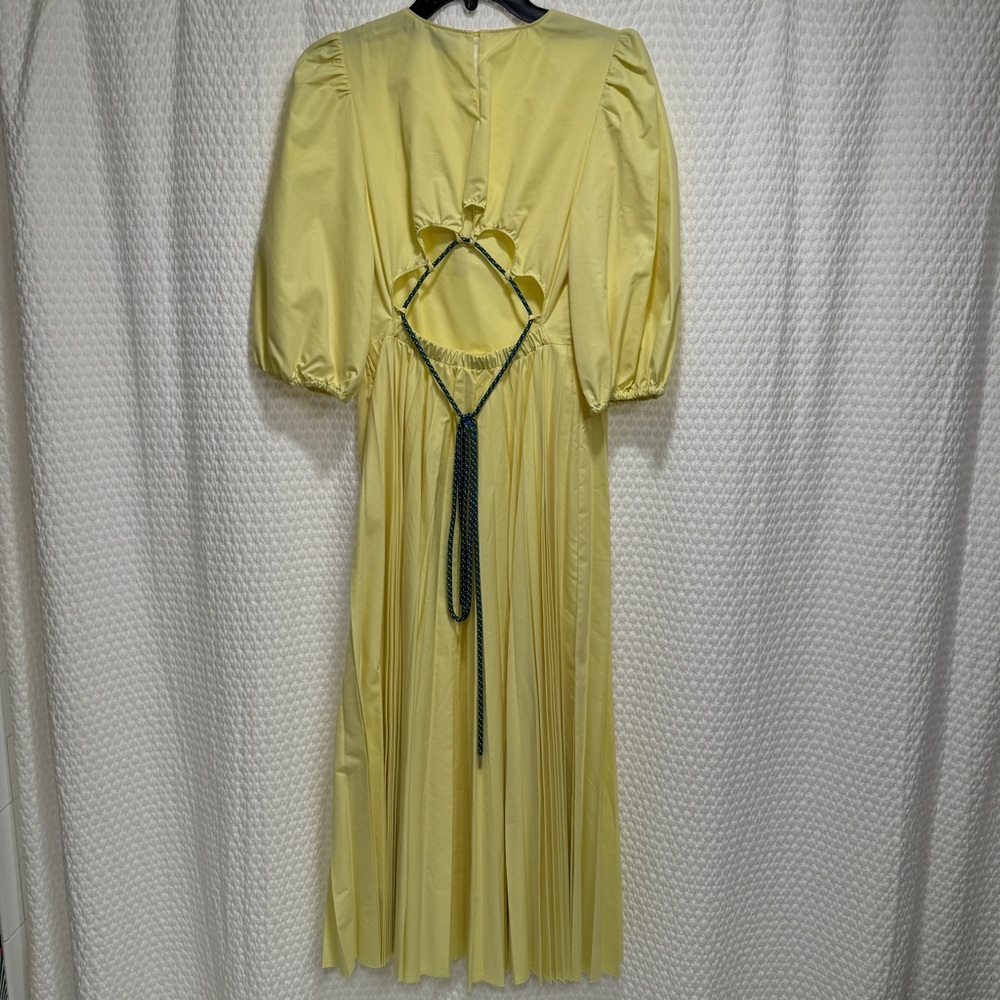 Beatrice B Pleated Yellow Dress - Picture 10 of 15